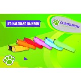 LED Halsband Rainbow 
