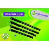 LED Halsband Classic