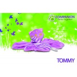 Tommy | Kuschel- und Spielpartner für Welpen & Kitten