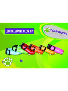 LED Halsband Glow Up